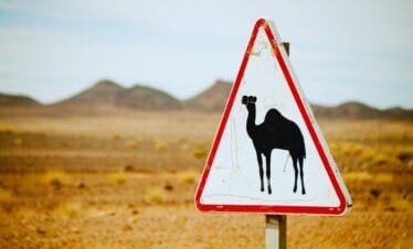 Ouarzazate to Merzouga Desert Tour 2 Days (