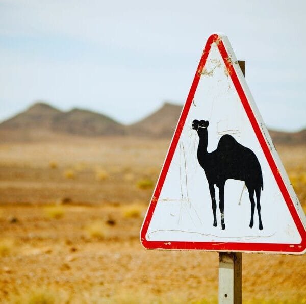 Ouarzazate to Merzouga Desert Tour 2 Days (