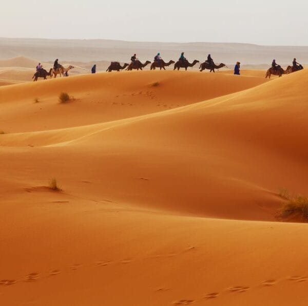 Ouarzazate to Merzouga Desert Tour 2 Days (