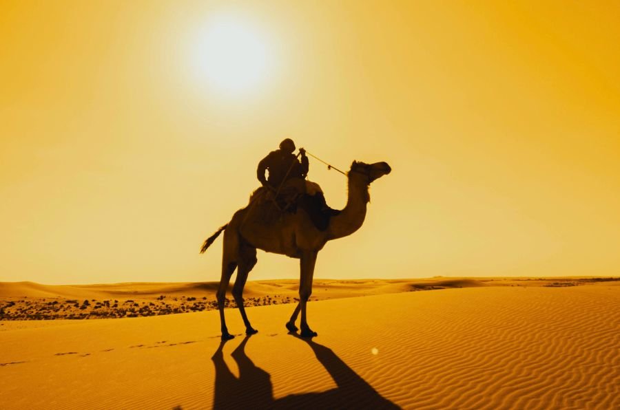 sunset camel ride in merzouga desert