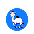 24CAMELS LOGO