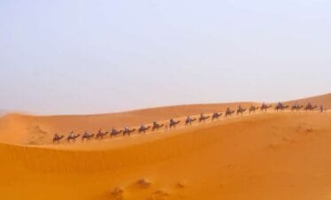 12-Day Morocco Itinerary from Casablanca
