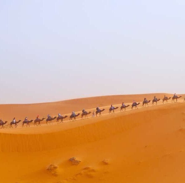 12-Day Morocco Itinerary from Casablanca