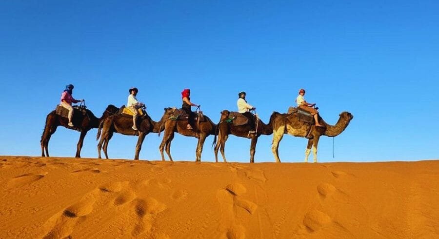 5 Days Tour from Fes to Marrakech via Merzouga Desert