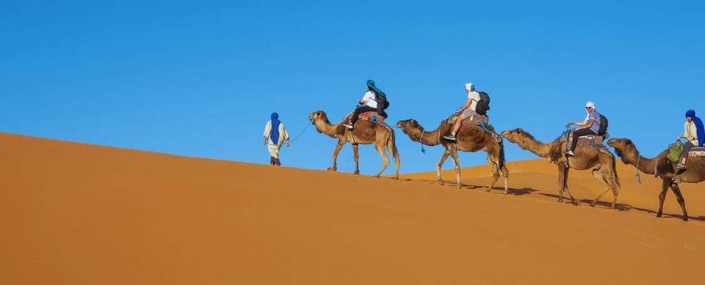 Merzouga Tours