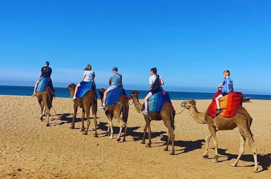 4-Day Malaga to Morocco Tour