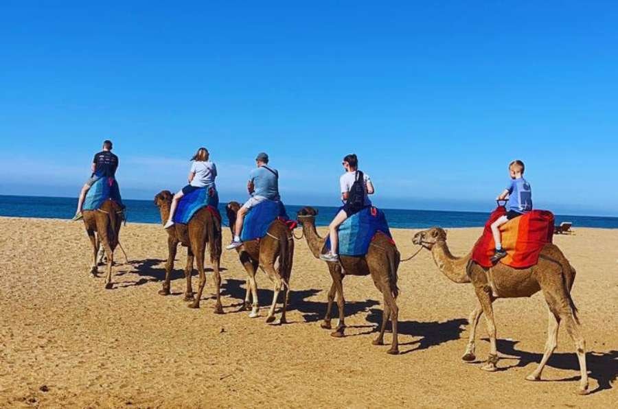 Chefchaouen or Tangier Day Trip