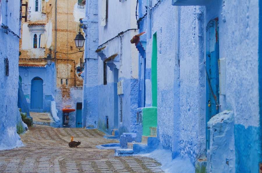 Tarifa vs Algeciras Which Port Is Best for Morocco Day Trips