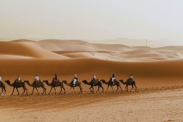 Morocco Camel Rides and Desert Tours
