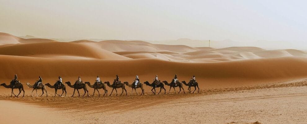 Morocco Camel Rides and Desert Tours