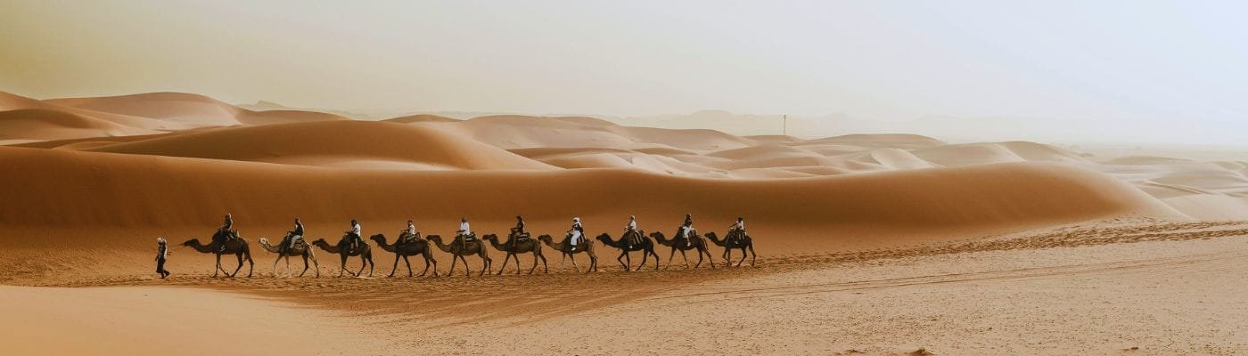 Morocco Camel Rides and Desert Tours